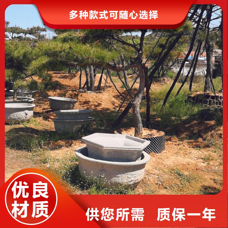 造型松松苗木源头厂家量大价优