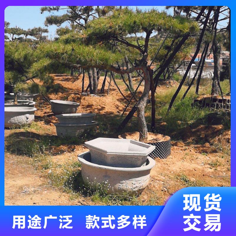 造型松造型黑松加工定制