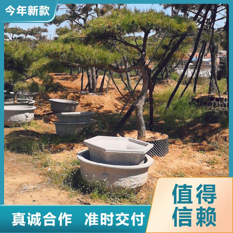  造型松厂家技术完善