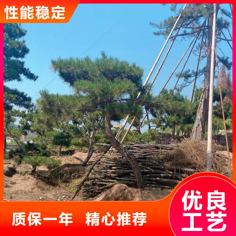 造型松奇石使用寿命长久