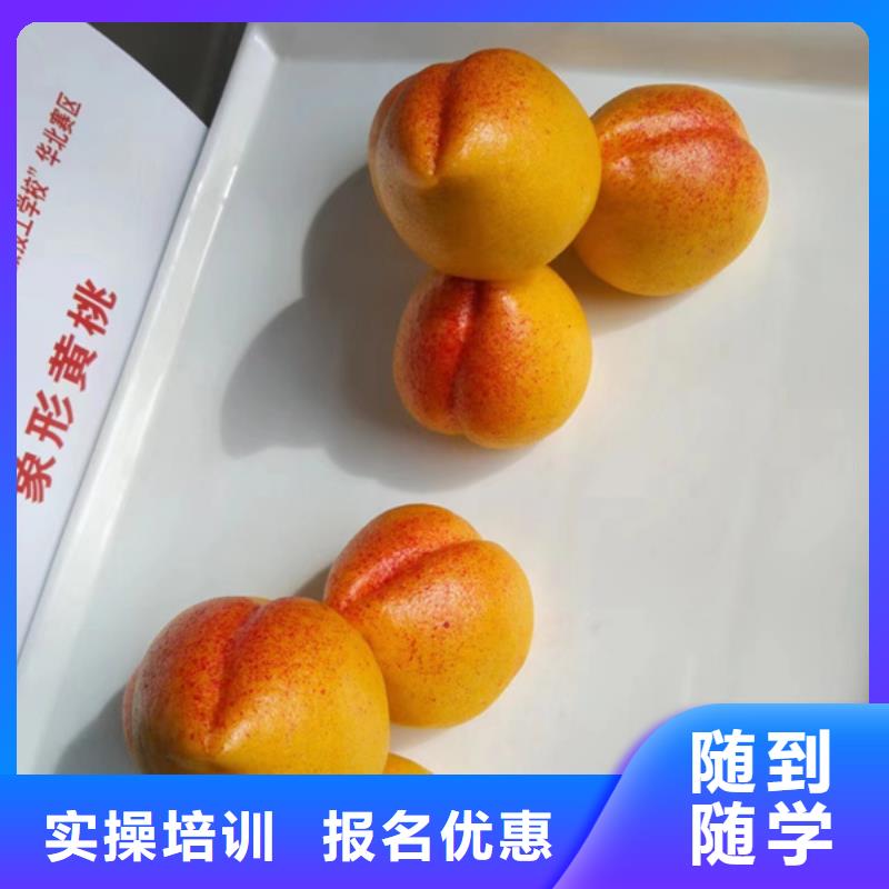 汽车钣金喷漆培训-视频-内蒙古锡林郭勒市|呼和浩特|乌海|阿拉善|呼伦贝尔汽车钣金喷漆培训-虎振