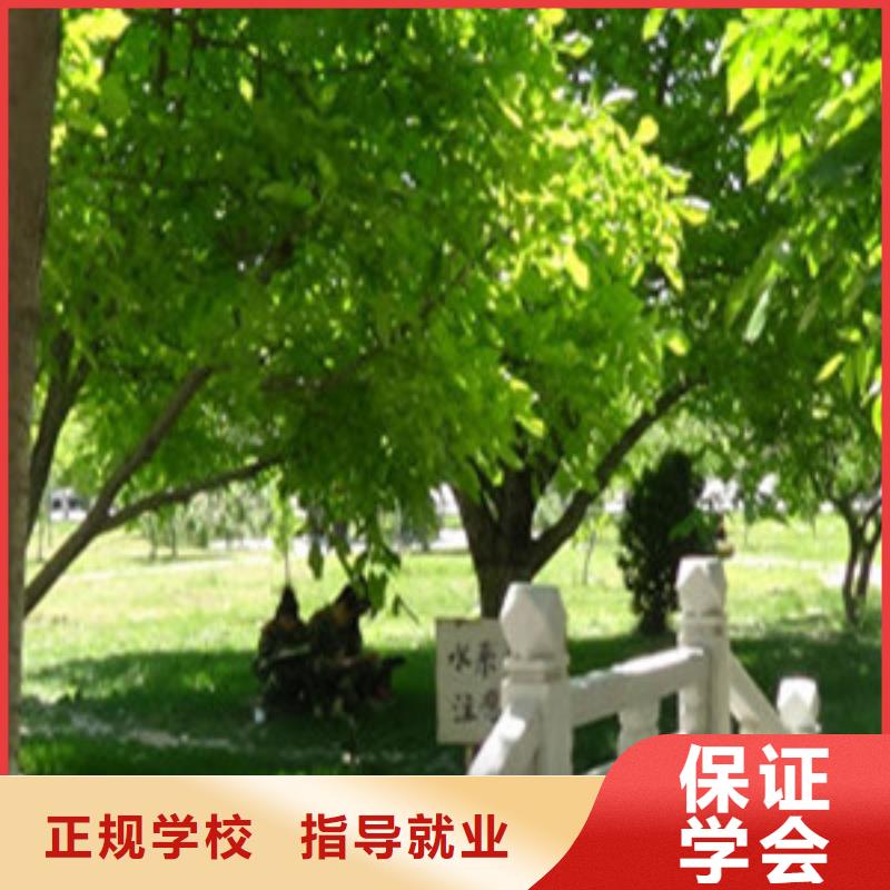 单招培训免费试学