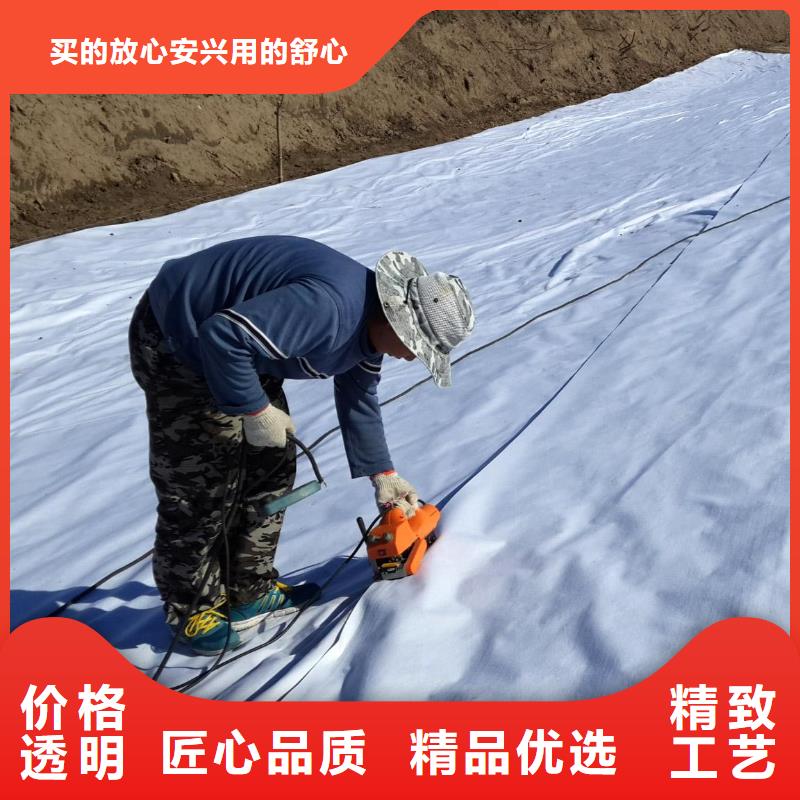 复合土工膜_三维植被网满足客户需求