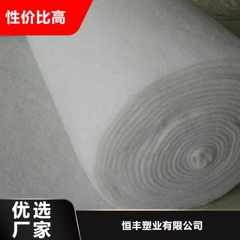 长丝土工布视频-长丝土工布(恒丰)覆盖地域吉林省通化市东昌|辉南|吉林|延边|辽源|长春|四平