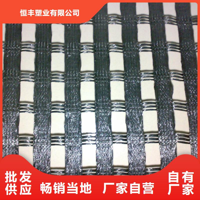 涤纶土工格栅土工格室专业的生产厂家