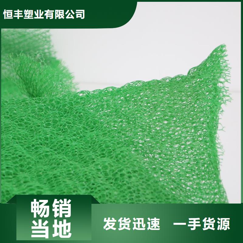 三维植被网双向拉伸塑料格栅发货迅速