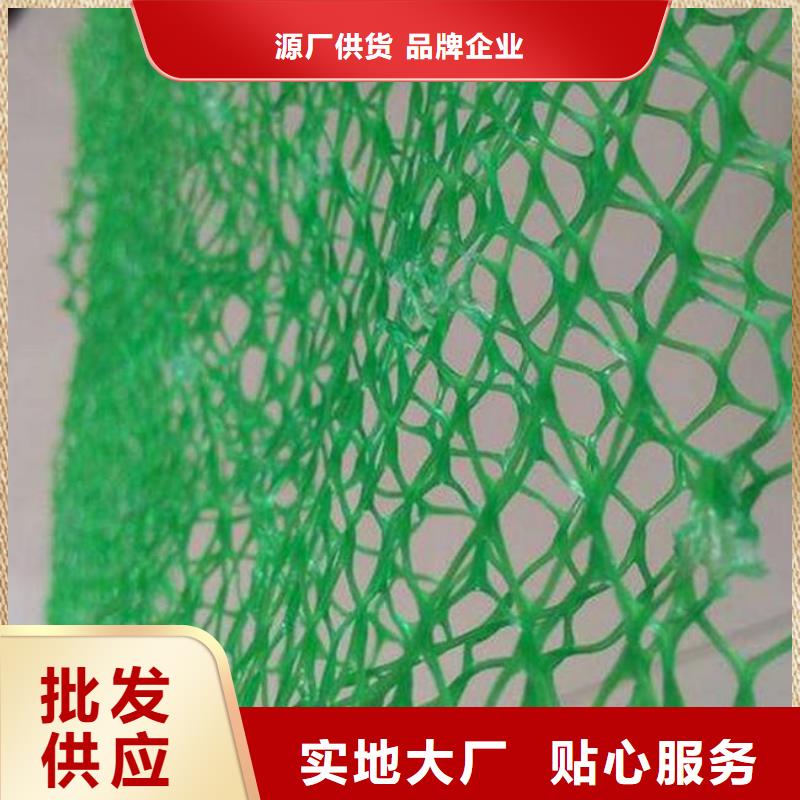 三维植被网,防渗膜厂家直营