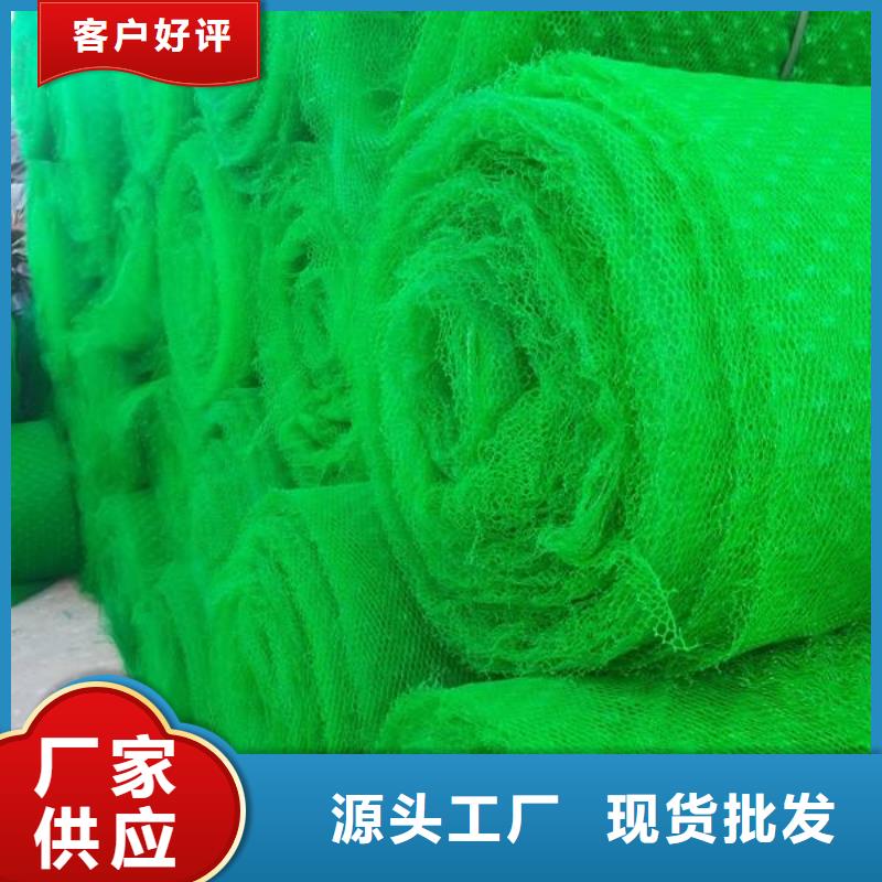 三维植被网双向拉伸塑料格栅发货迅速