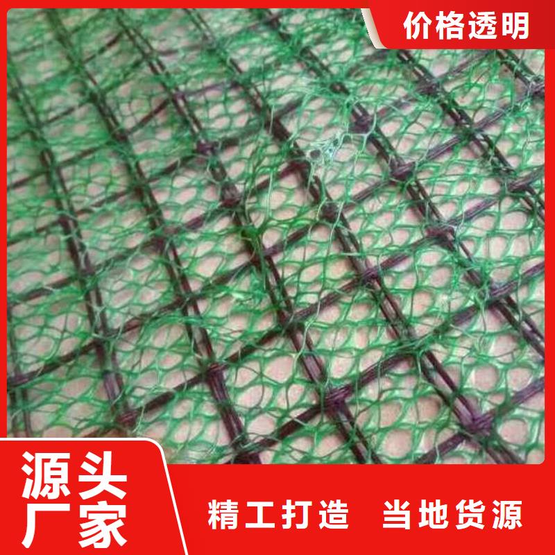 三维植被网双向拉伸塑料格栅发货迅速