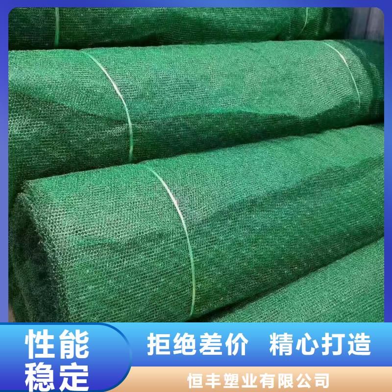 三维植被网,防渗膜厂家直营
