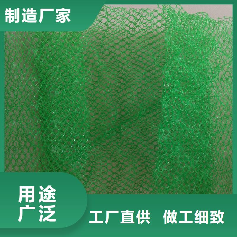 三维植被网,防渗膜厂家直营