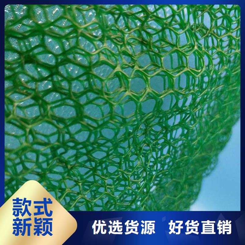 三维植被网双向拉伸塑料格栅发货迅速