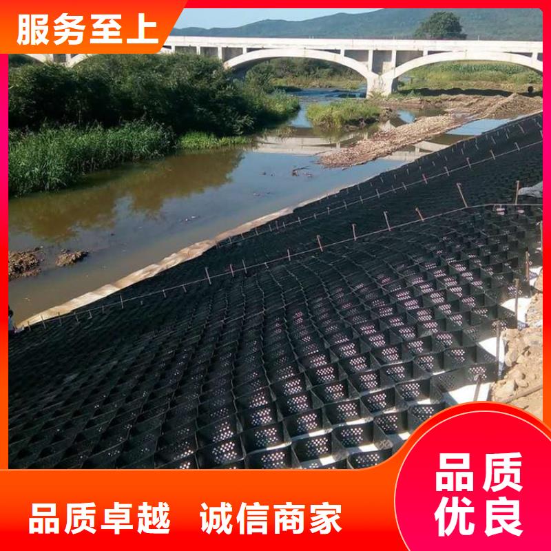土工格室双向塑料土工格栅精选好货