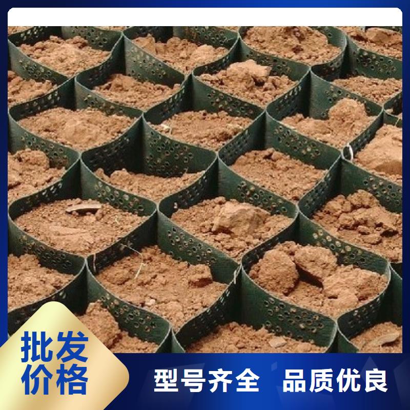 土工格室土工席垫出厂价