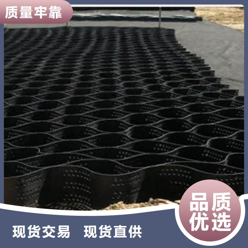 土工格室双向塑料土工格栅精选好货