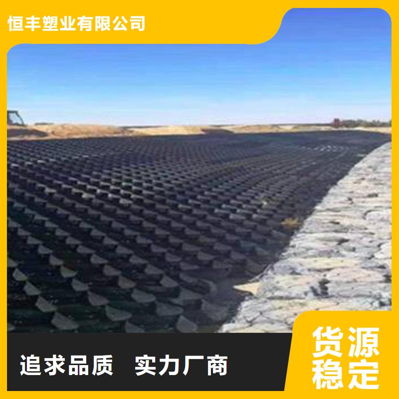 土工格室双向塑料土工格栅精选好货