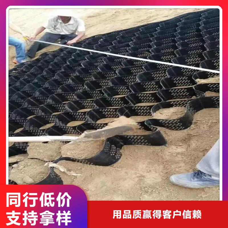 土工格室土工席垫出厂价