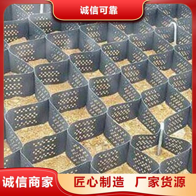 土工格室土工席垫出厂价
