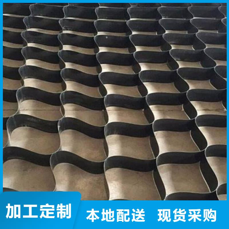 土工格室双向塑料土工格栅精选好货