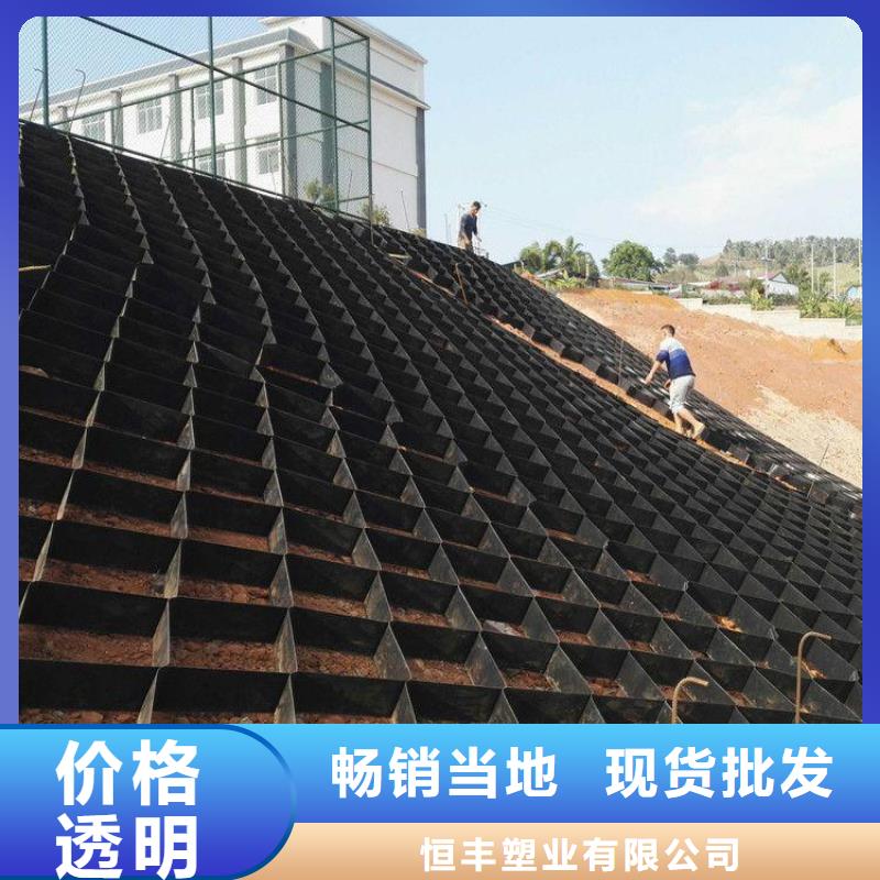 土工格室双向塑料土工格栅精选好货