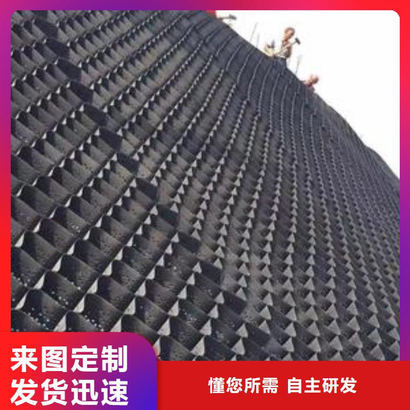 土工格室双向塑料土工格栅精选好货
