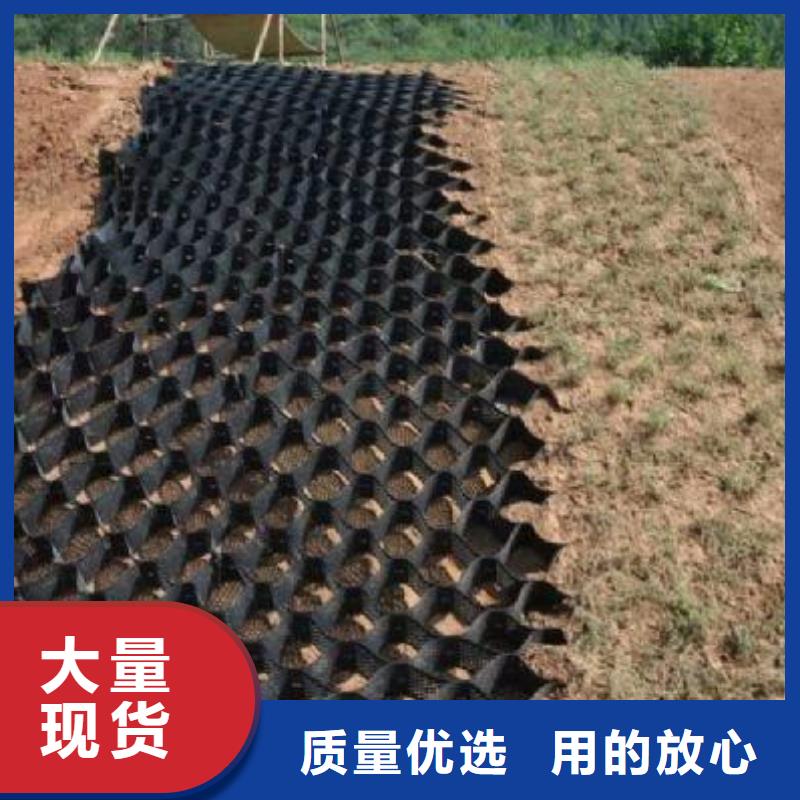 土工格室双向塑料土工格栅精选好货