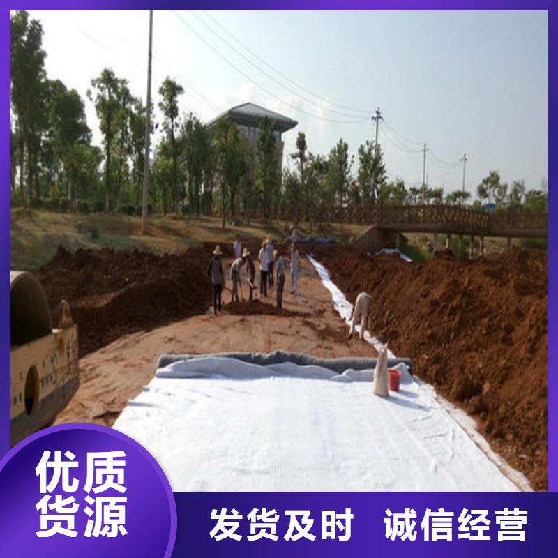 防渗膜价格_膨润土防水毯批发_土工网生产厂家_三维植被网