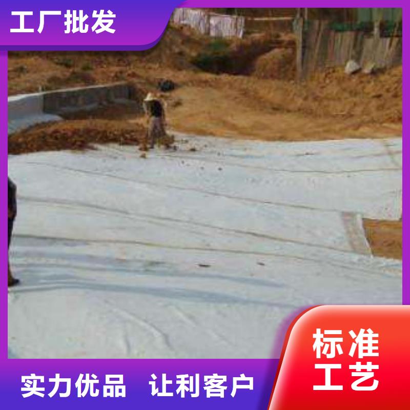 膨润土防水毯规格齐全生产厂家发现货