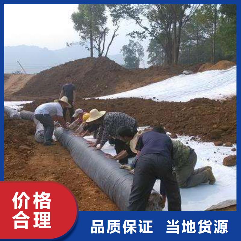膨润土防水毯双向塑料土工格栅精工细作品质优良