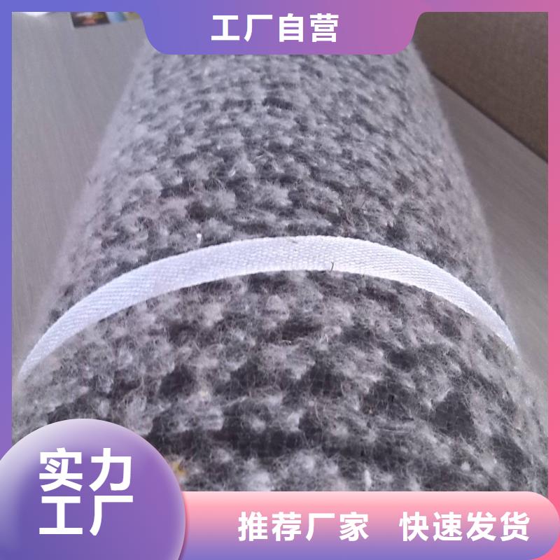 _价格合理_膨润土防水毯厂家