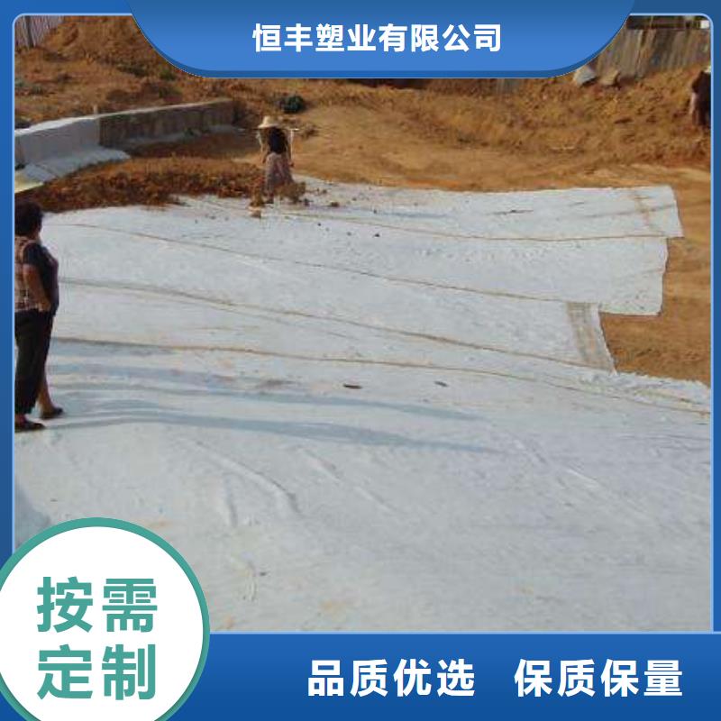 膨润土防水毯天然钠基膨润土防水毯