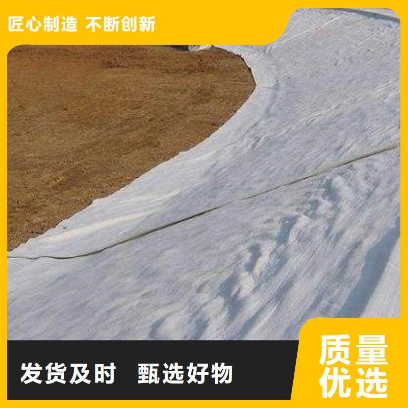 澄迈县膨润土覆膜防水毯