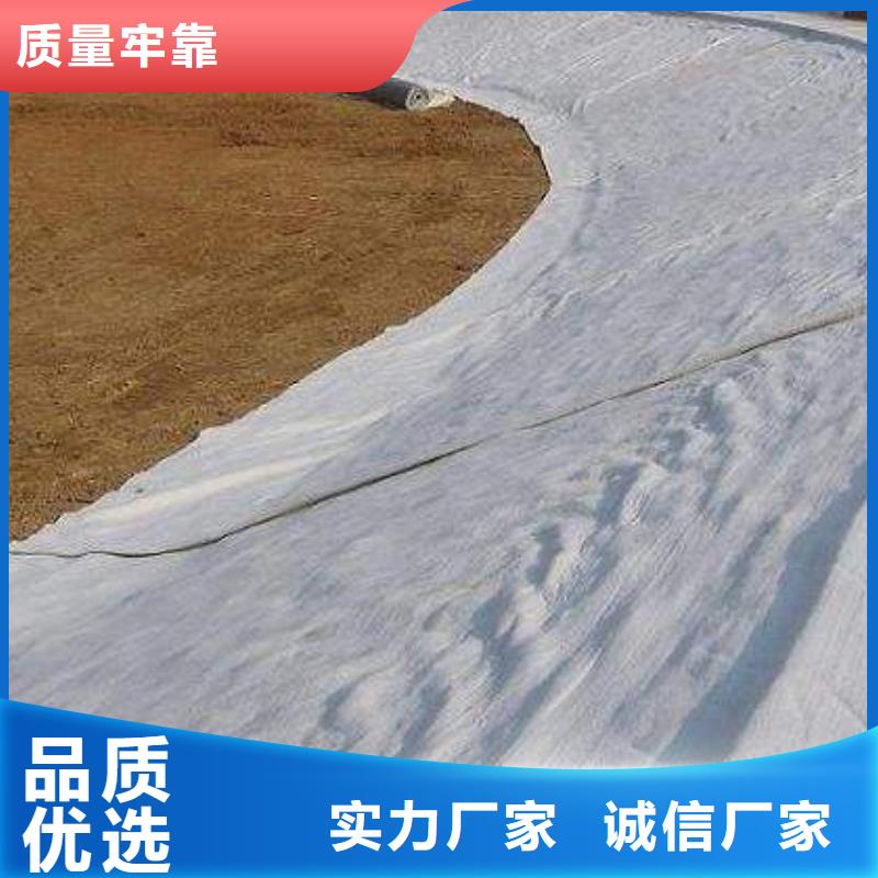 长丝土工布视频-黑龙江省佳木斯市|东风|桦川|哈尔滨|黑河|牡丹江|大庆|大兴安岭长丝土工布-恒丰