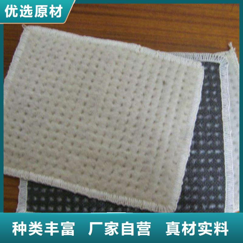 膨润土防水毯PP焊接土工格栅严格把关质量放心