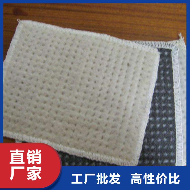 膨润土防水毯生产厂家