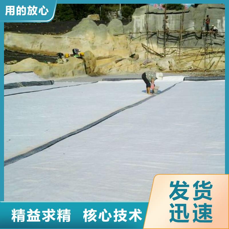 膨润土防水毯PP焊接土工格栅严格把关质量放心