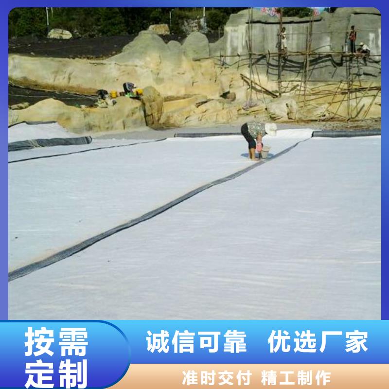 澄迈县膨润土覆膜防水毯