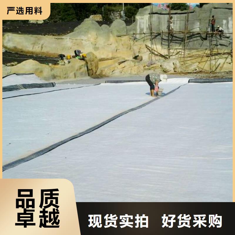 济源市膨润土防水毯厂家直销