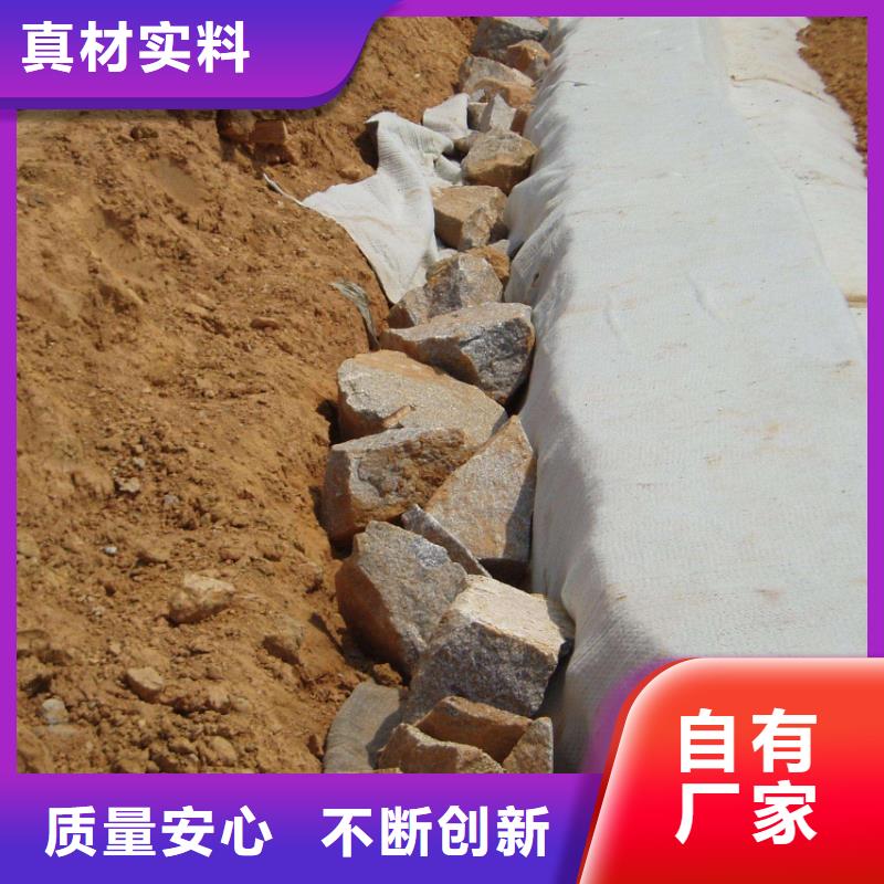 膨润土防水毯PP焊接土工格栅严格把关质量放心