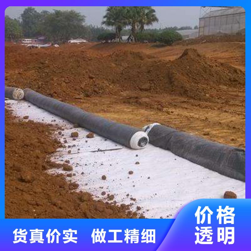 澄迈县膨润土覆膜防水毯