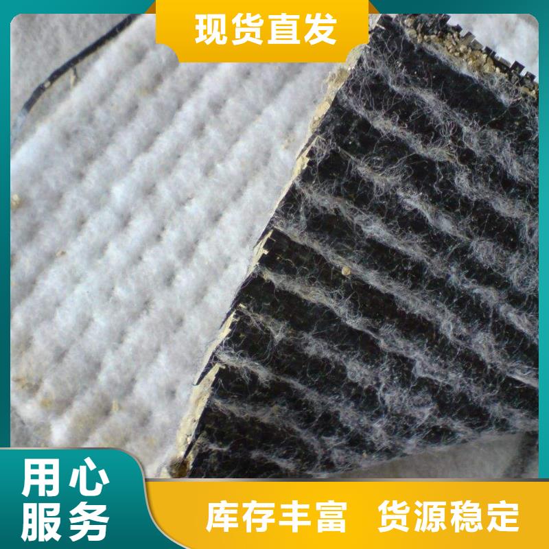 澄迈县膨润土覆膜防水毯