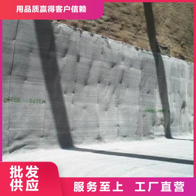 膨润土防水毯天然钠基膨润土防水毯