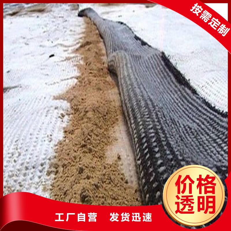 膨润土防水毯双向塑料土工格栅精工细作品质优良