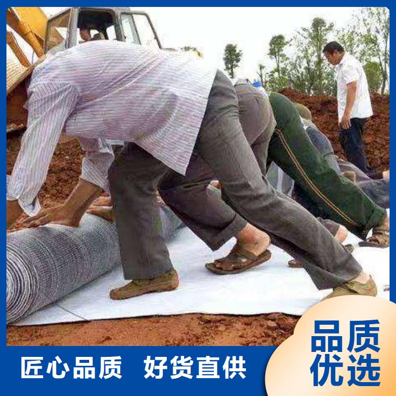 膨润土防水毯双向塑料土工格栅精工细作品质优良