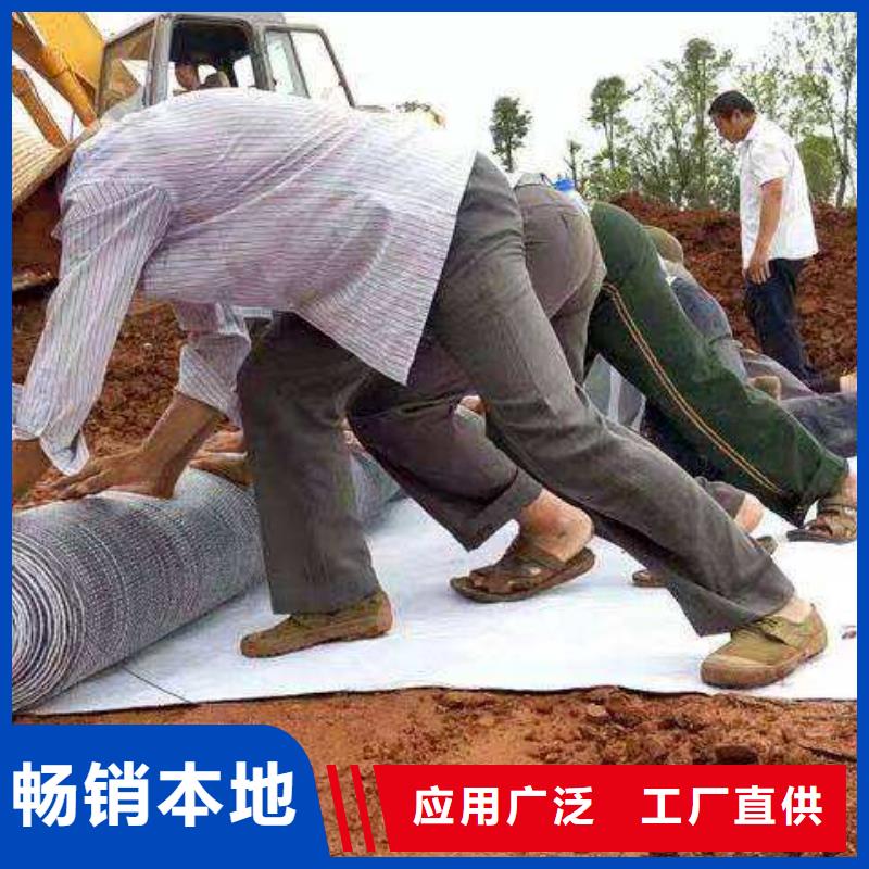 长丝土工布视频-黑龙江省佳木斯市|东风|桦川|哈尔滨|黑河|牡丹江|大庆|大兴安岭长丝土工布-恒丰
