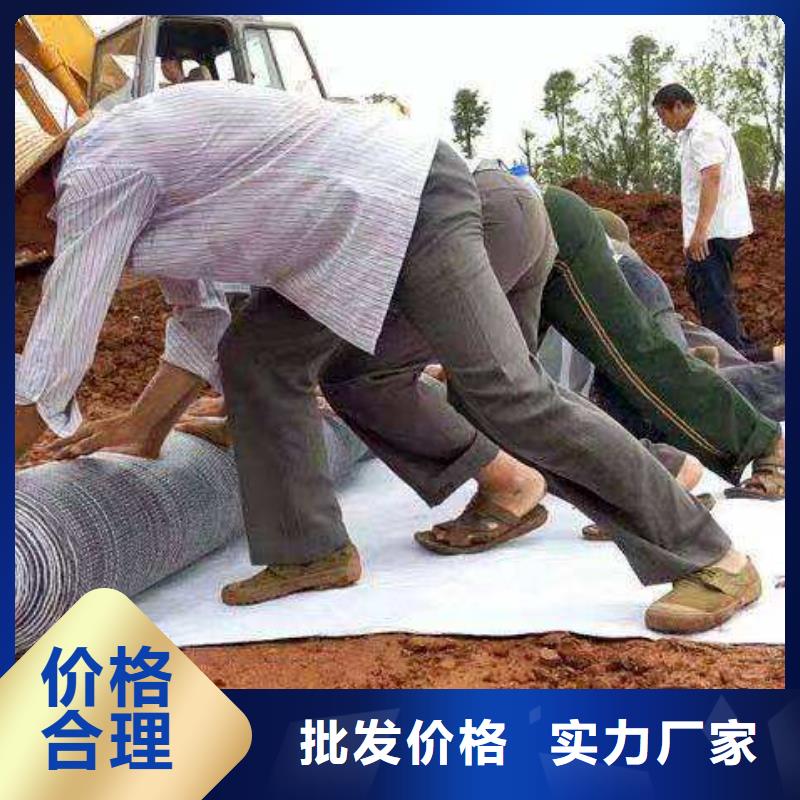 澄迈县膨润土覆膜防水毯