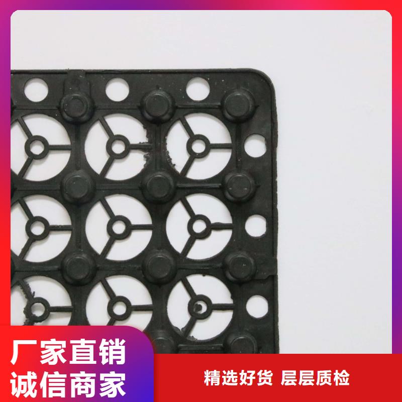 【排水板报价是多少图片】排水板报价是多少图片大全
