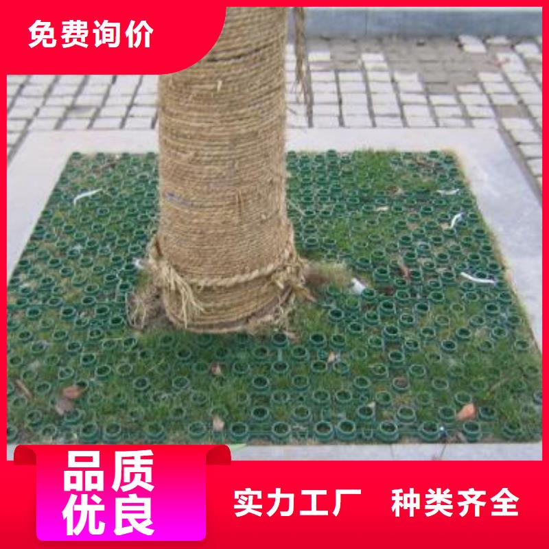 植草格PP焊接土工格栅多种场景适用