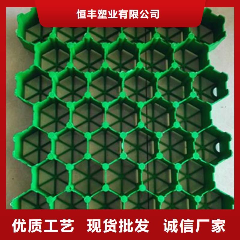 植草格PP焊接土工格栅厂家直销货源充足