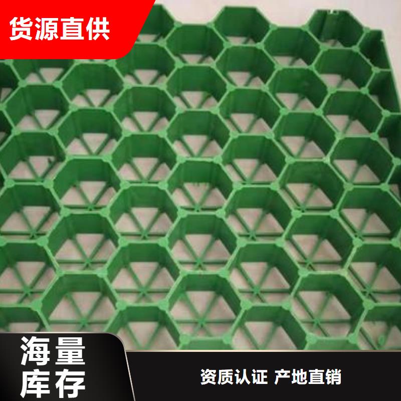 植草格PP焊接土工格栅厂家直销货源充足